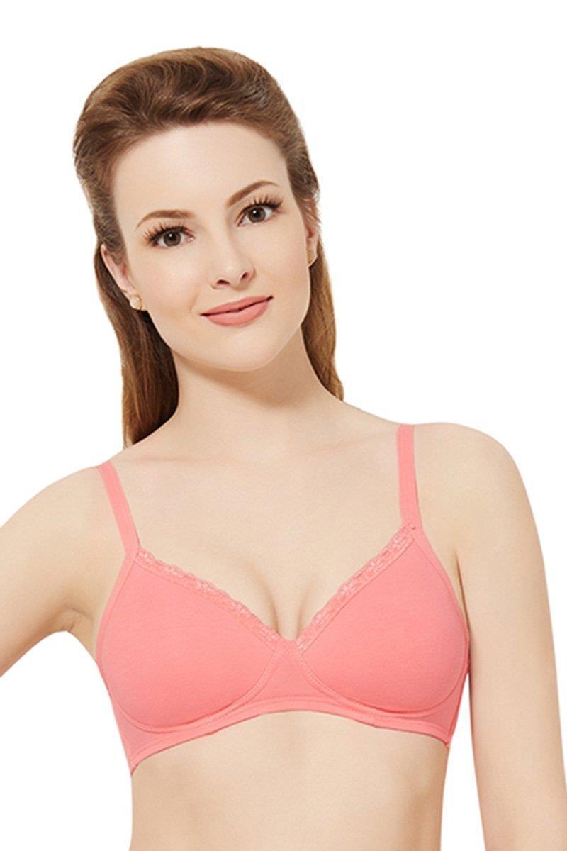 Amante Everyday Cotton Casuals Padded Non-Wired T-Shirt Bra Full
