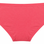 Zivame Antimicrobial Cotton Hipster Panties – Pack of 3