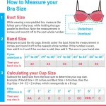 Enamor A171 Curve Hug Neckline Cotton T-Shirt Bra – Padded Wirefree High Coverage